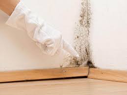 Best Environmental Consulting for Mold Prevention  in Emerson, GA